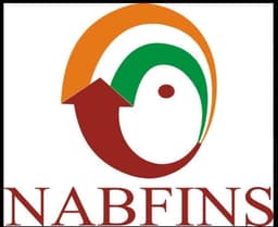 NABFINS Logo